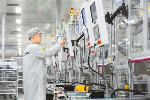 綠色智能 圖自動識別技術在可持續發展中的創新應用與開發