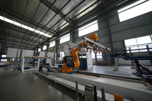 2026江蘇X射線智能分選機廠商全景評估 聚焦五大服務商與自動識別技術開發