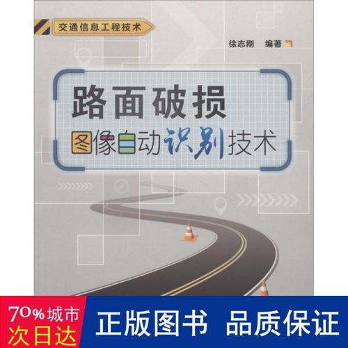 路面破損圖像自動識別技術的開發與應用