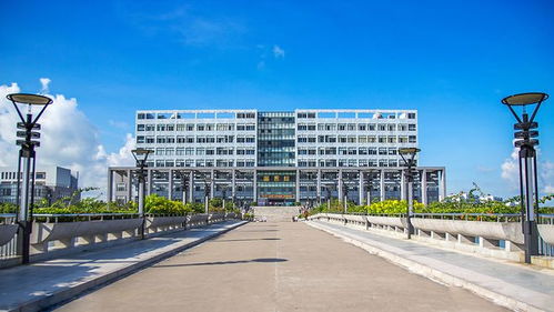 機(jī)會更大 這10所3 院校招生計劃最多 全是公辦