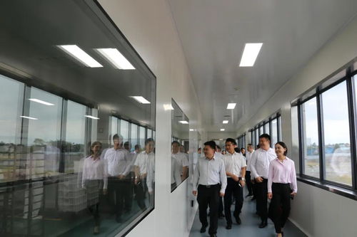 省市場(chǎng)監(jiān)管局局長(zhǎng)萬(wàn)鵬龍調(diào)研我市食品安全工作要求 壓實(shí)主體責(zé)任加強(qiáng)監(jiān)管力度