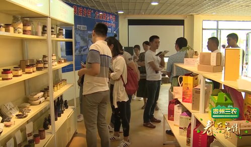 數(shù)說(shuō)貴州 數(shù)字鄉(xiāng)村的貴州實(shí)踐，智慧生活織就智富夢(mèng)